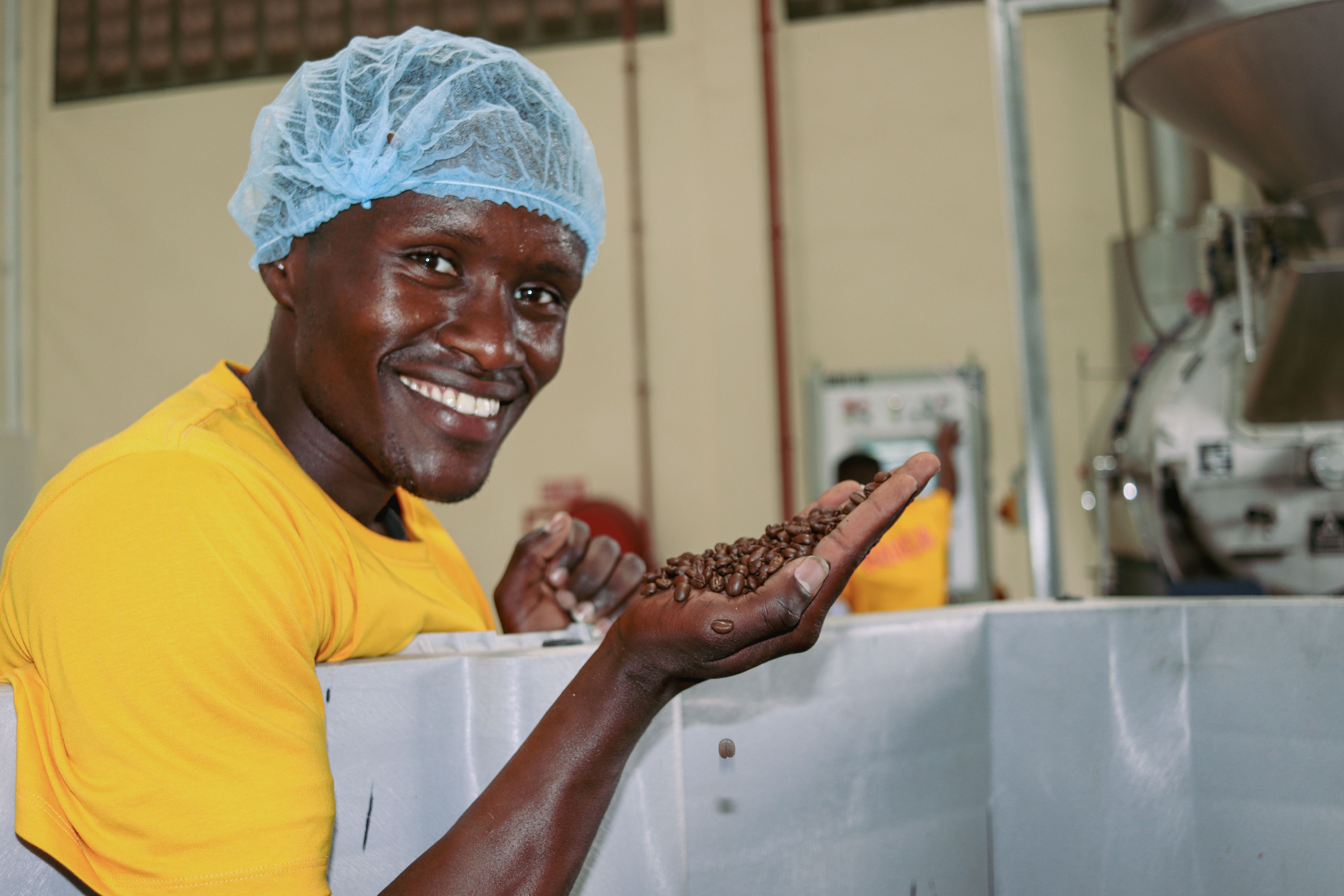 Moyee coffee roasted at origin