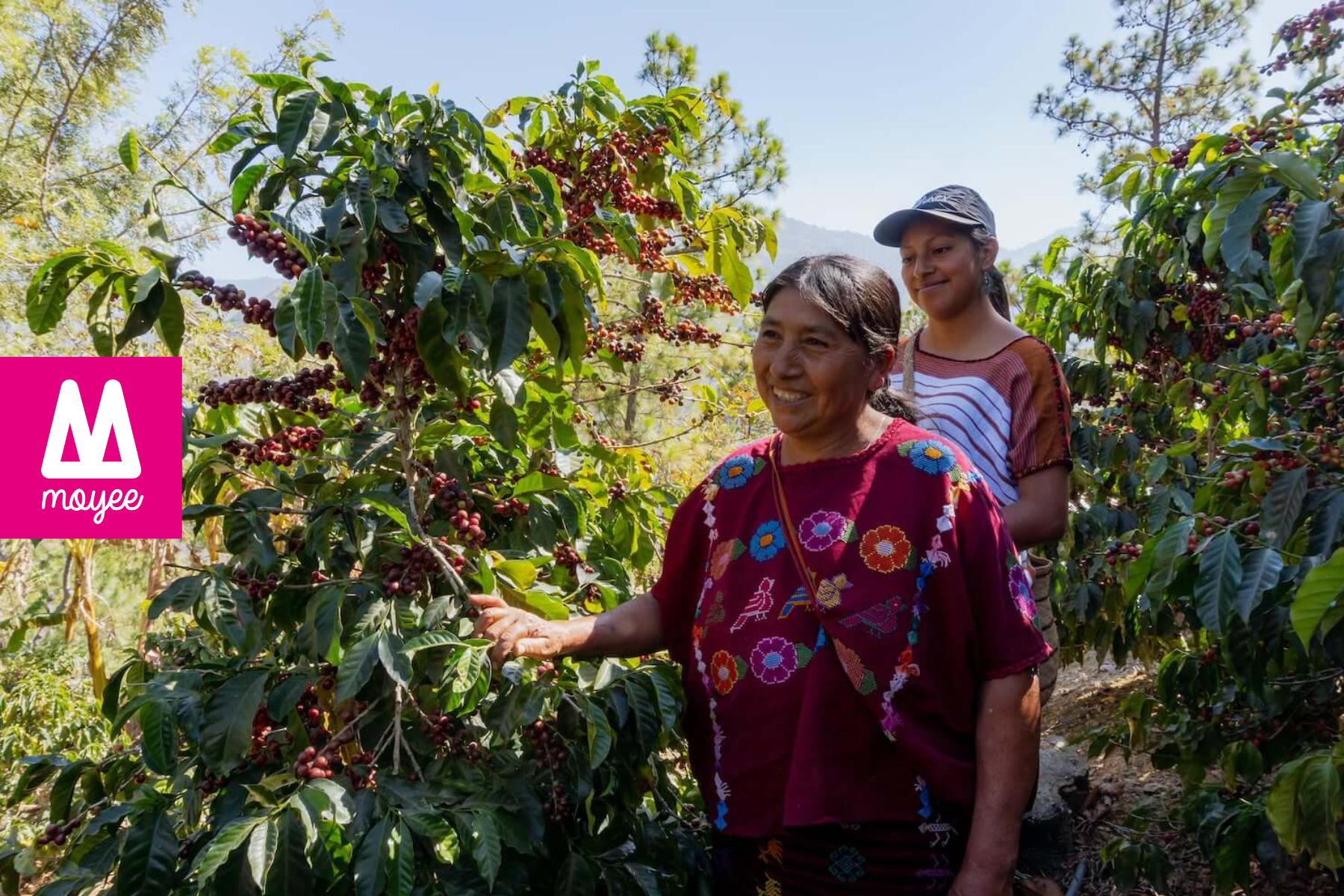 The Impactful Story Behind Our Mujeres Microlot