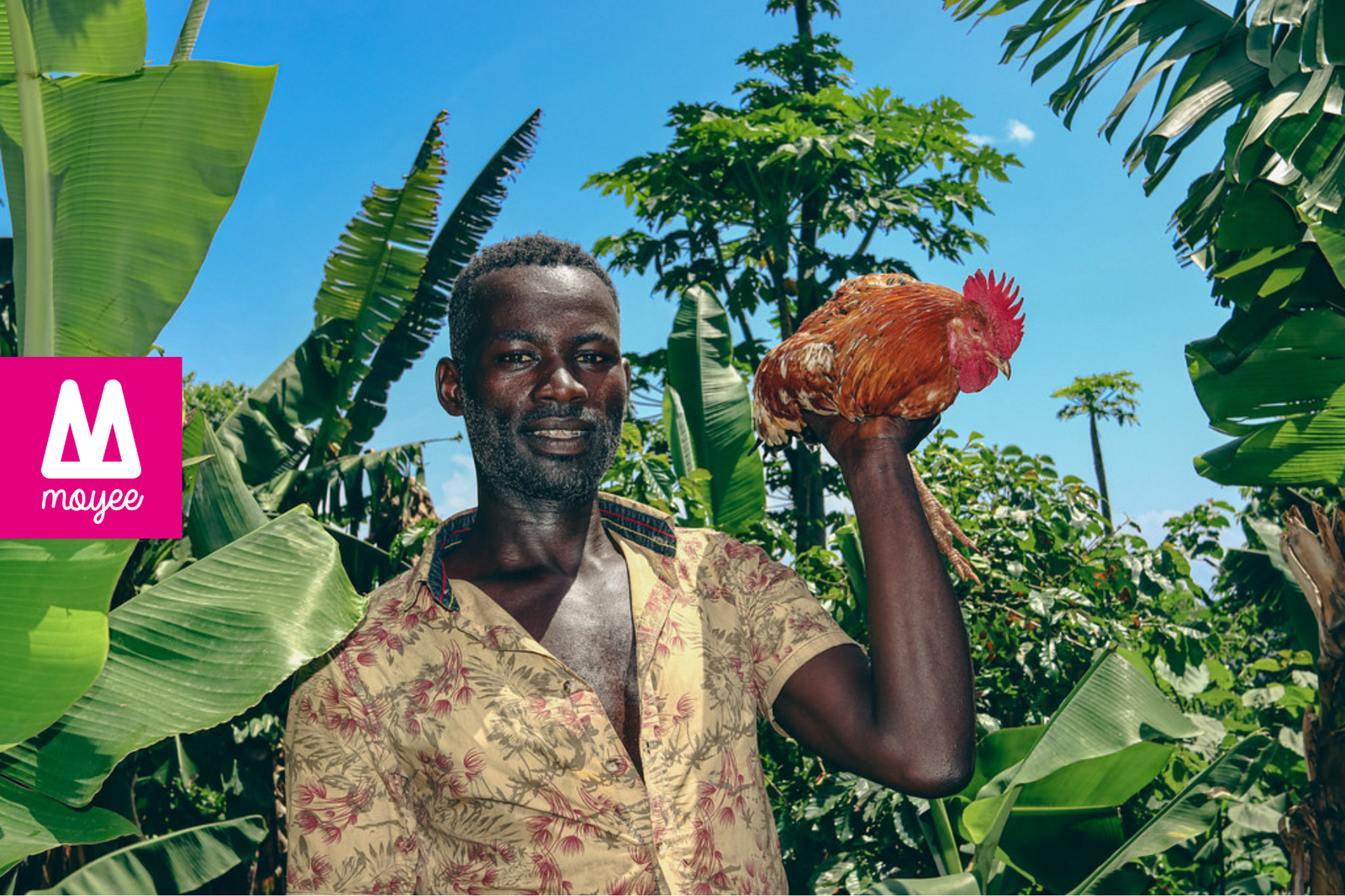 Sustainable Farming: The Importance of Crop Diversification for Coffee Farmers