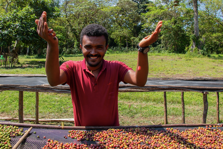 Making Impact Where It Matters: Forests at the Forefront