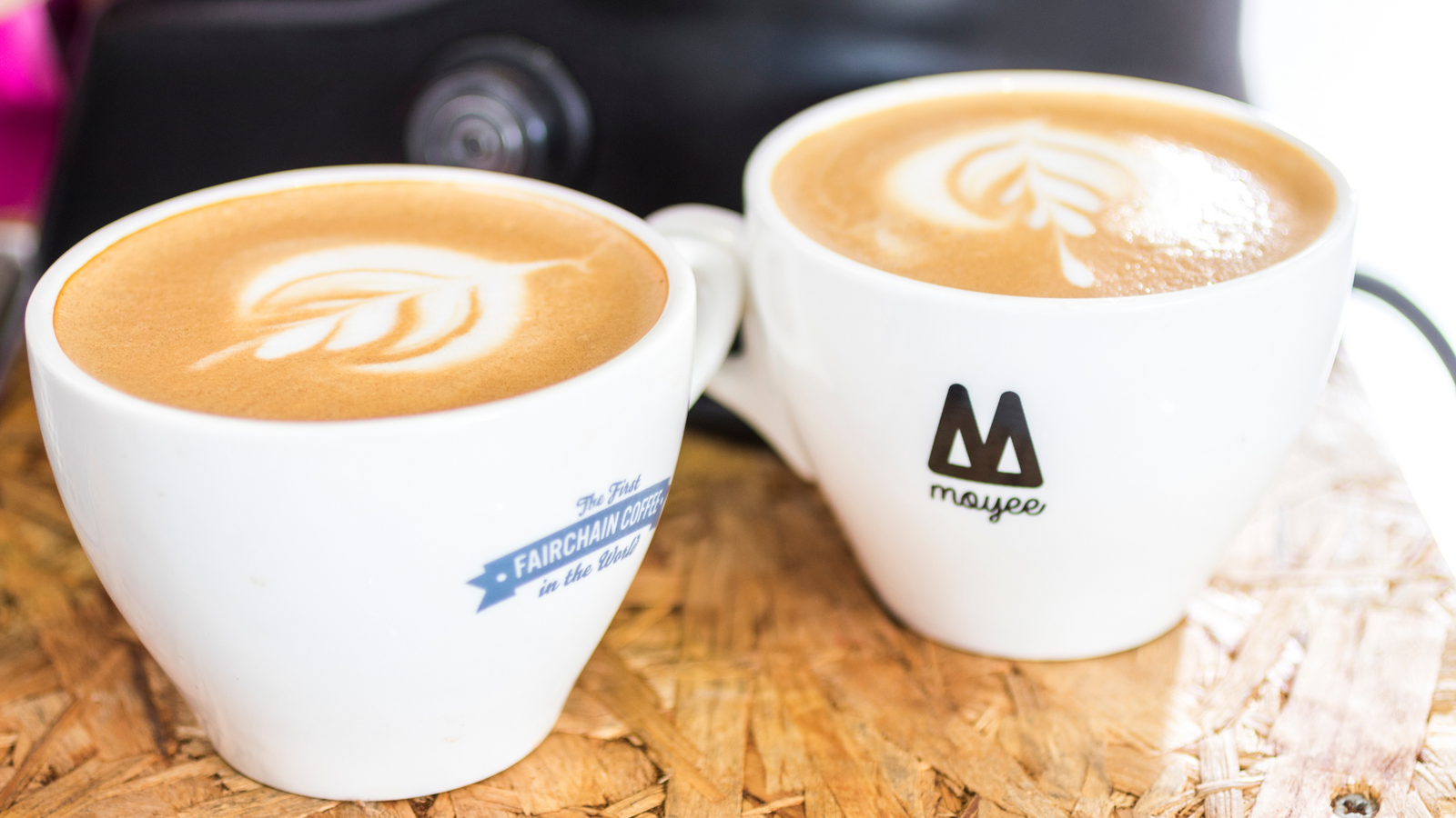 Where Can You Get a Cup of Moyee?