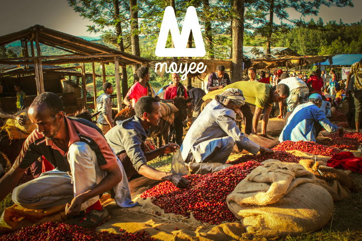 Time for the Fourth Wave of Coffee