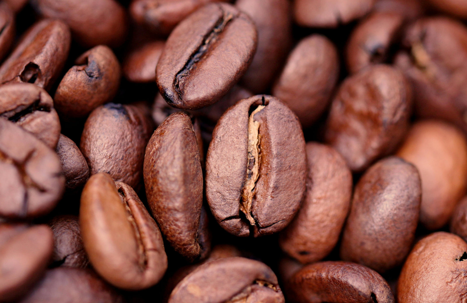 Choosing the Right Coffee Beans