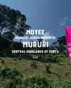 Microlot Series: Mururi