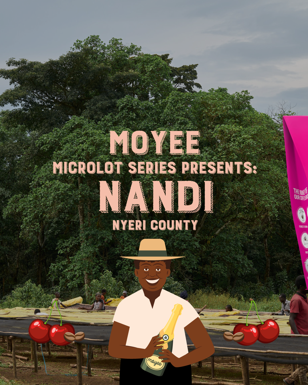 Microlot Series: Nandi