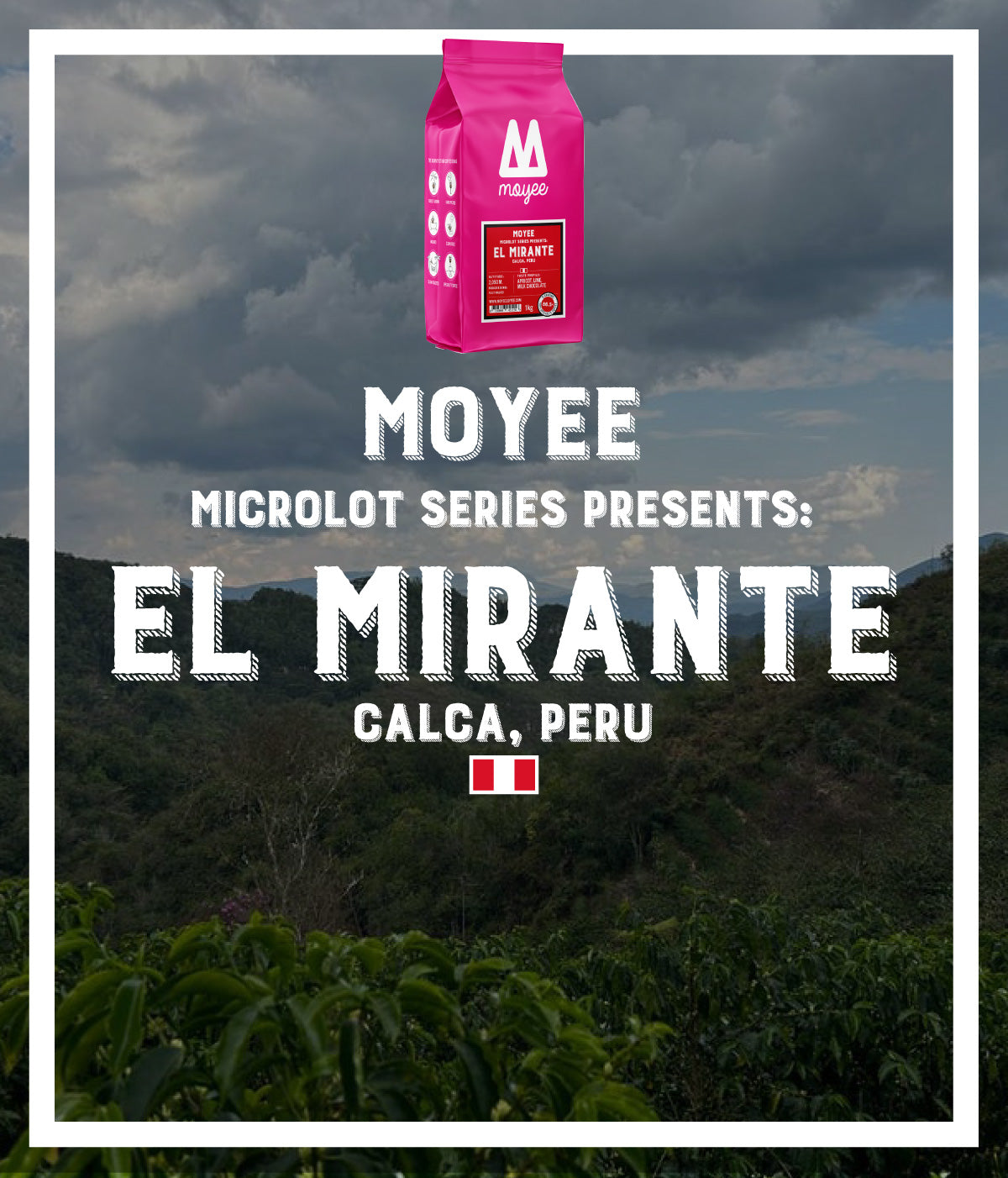 Microlot Series: El Mirante