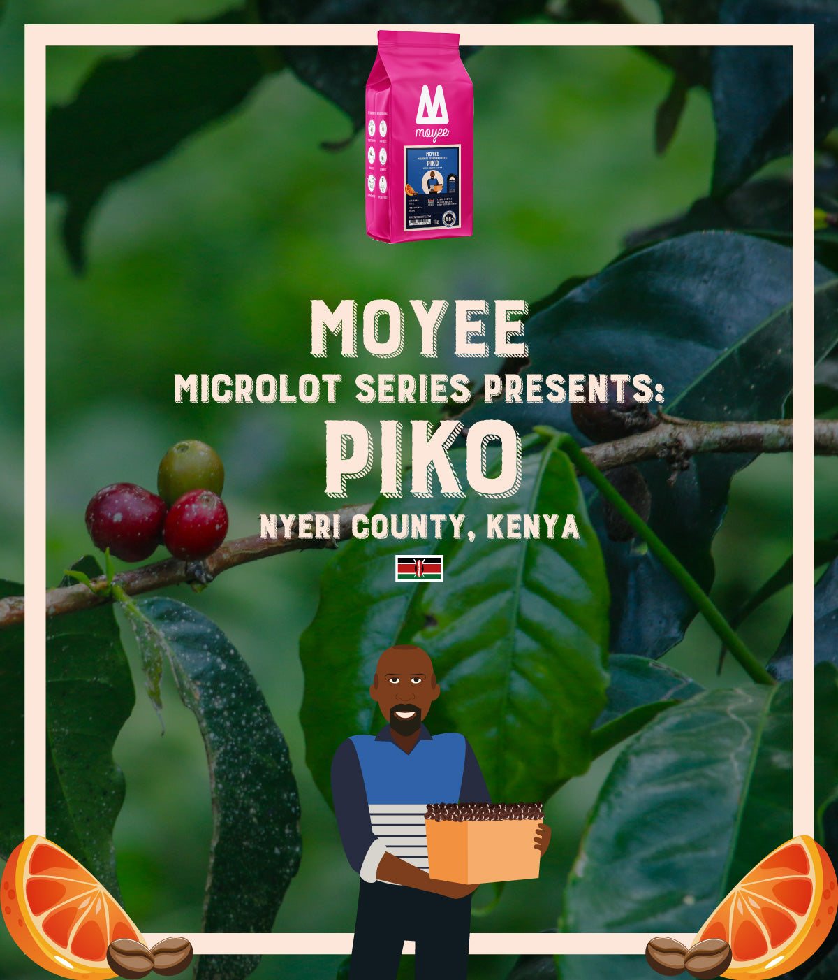 Microlot Series: Piko (PRE-ORDER)