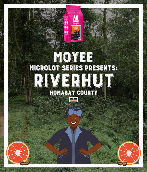 Microlot Series: Riverhut - Moyee Coffee