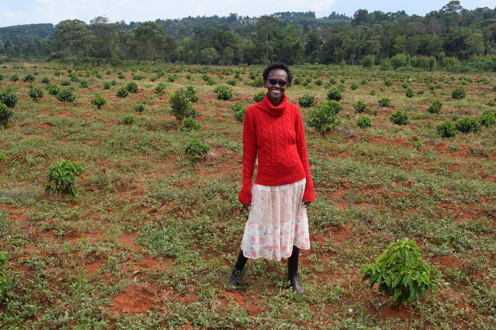 Microlot Series: Kolobus