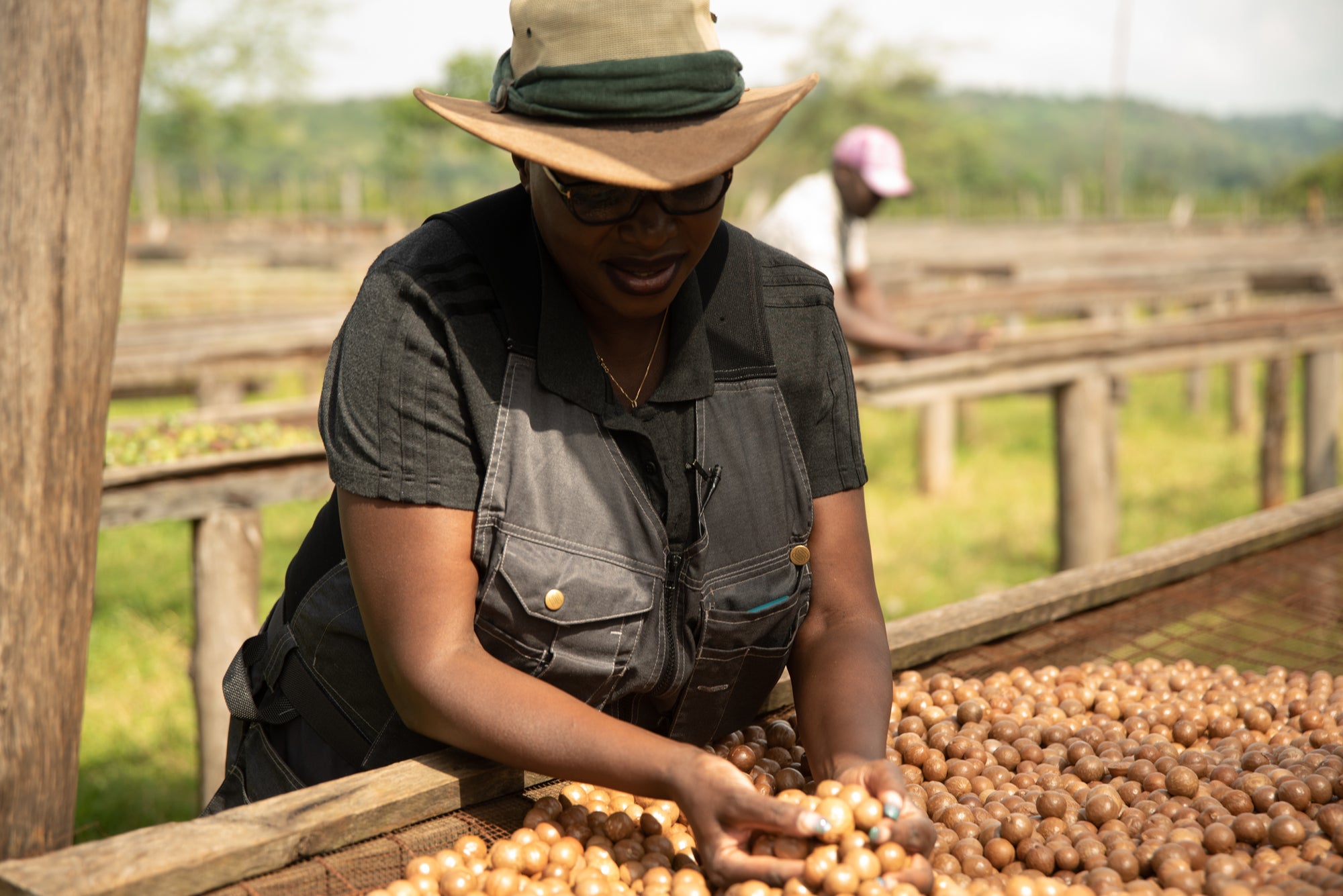 Microlot Series: Sakami