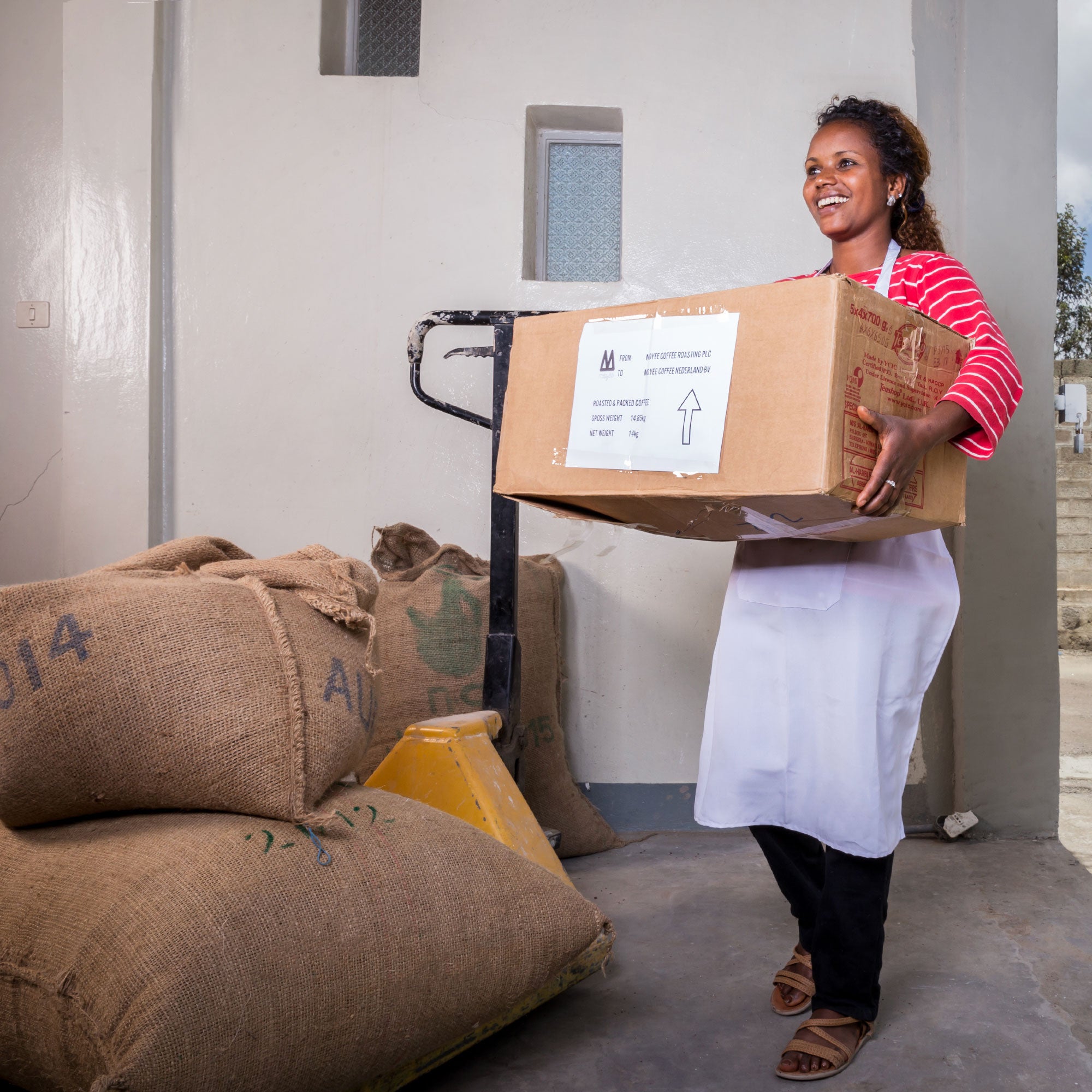 Gift Coffee Subscription: 12 Months