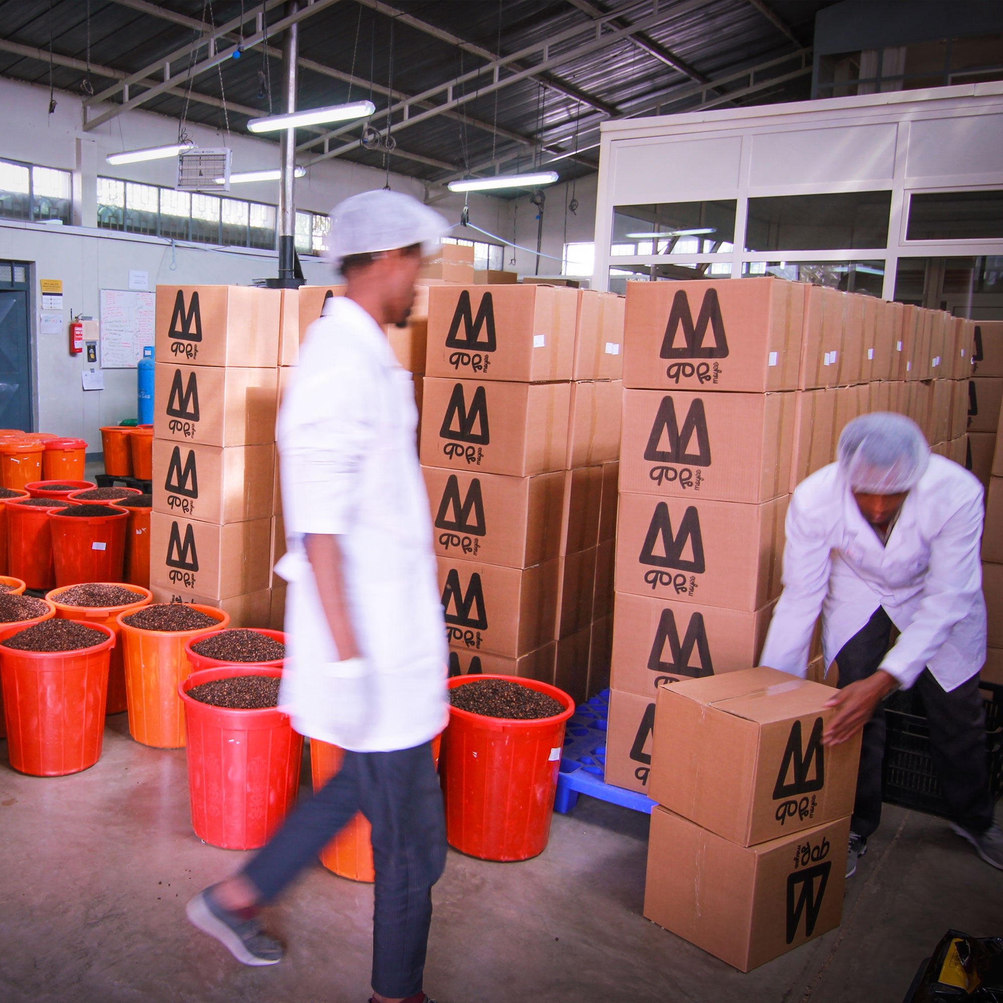 Gift Coffee Subscription: 3 Months